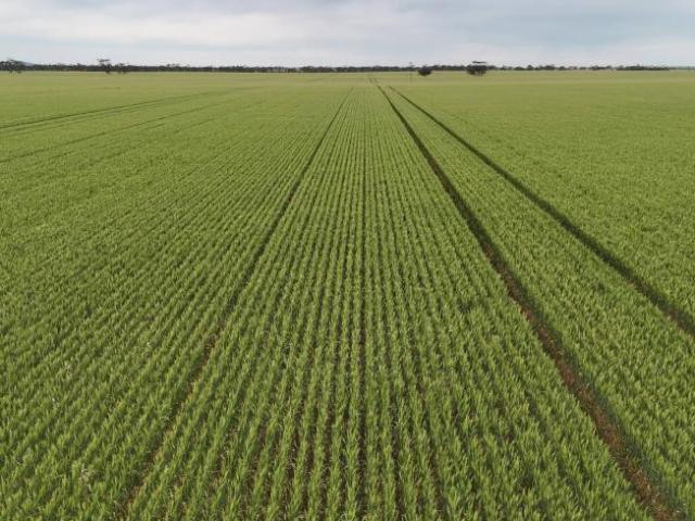 Land for sale in Kainton, Yorke Peninsula Council