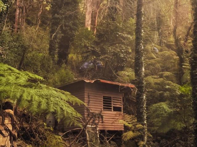Land for sale in Camerons Creek, Victoria