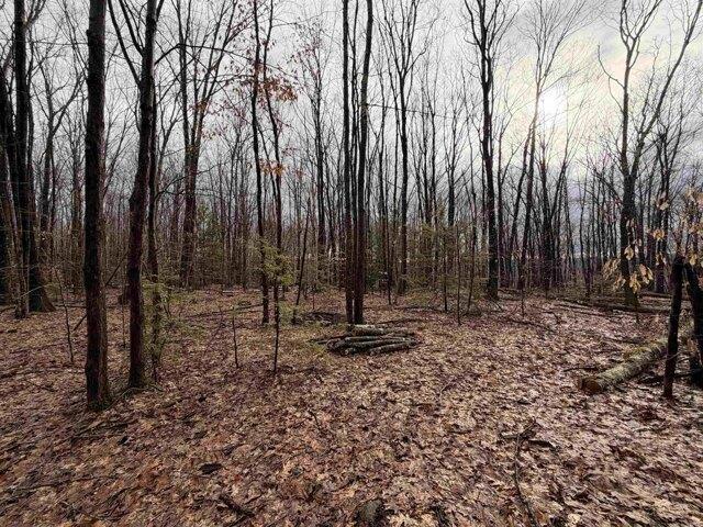 Land for sale in New Hampshire