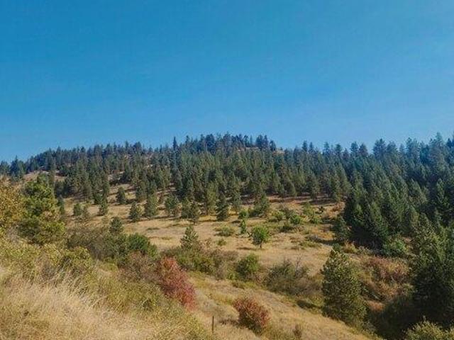 Land for sale in Kettle Falls, Washington