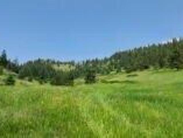 Land for sale in Kettle Falls, Washington