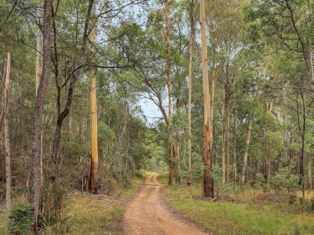 Land for sale in Kevington, Shire of Mansfield