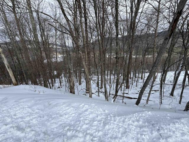 Land for sale in Killington