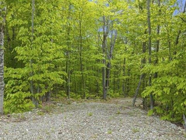 Land for sale in Kingfield, Maine