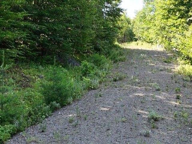 Land for sale in Kingfield, Maine