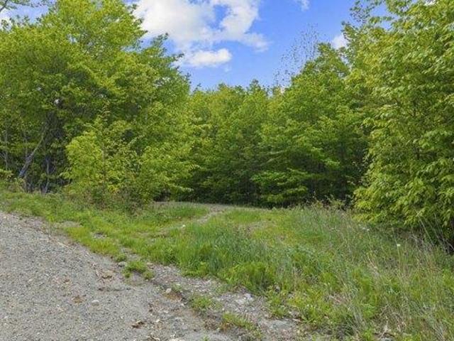 Land for sale in Kingfield, Maine