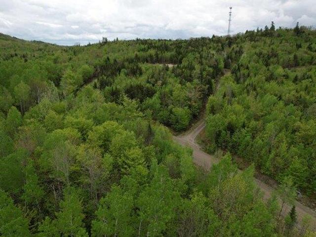 Land for sale in Kingfield, Maine