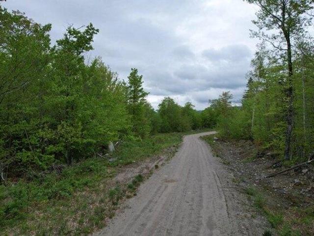 Land for sale in Kingfield, Maine