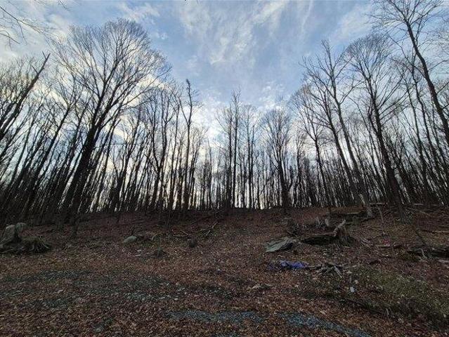 Land for sale in Kirkwood, New York