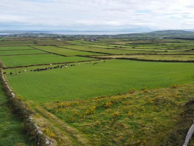 Land for sale in Doolin, South Tipperary