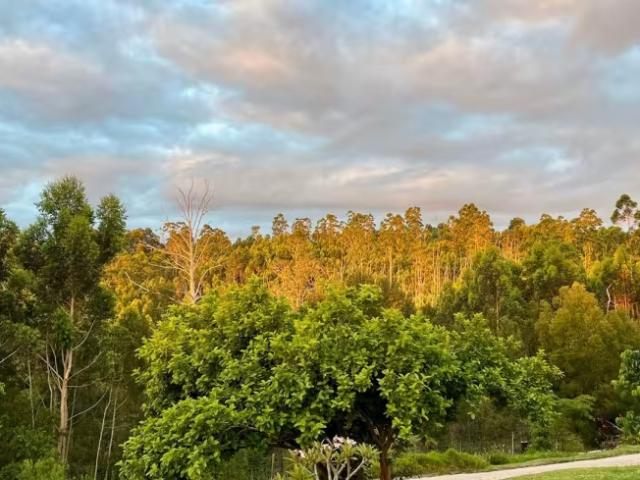 Land for sale in Knysna, Garden Route District Municipality