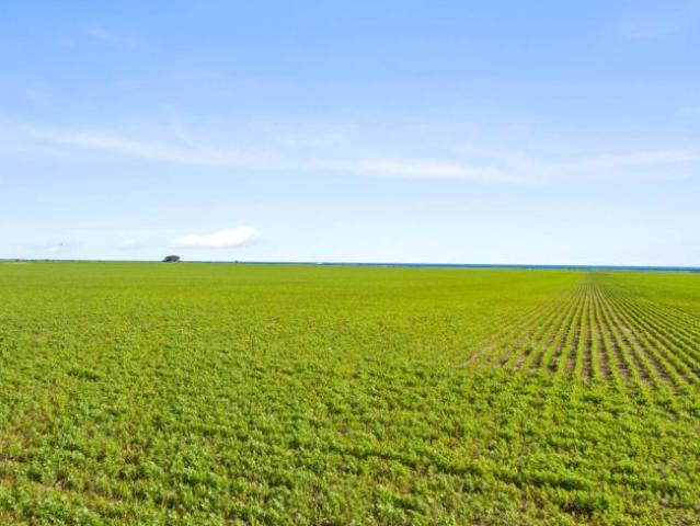 Land for sale in Koolywurtie, Yorke Peninsula Council