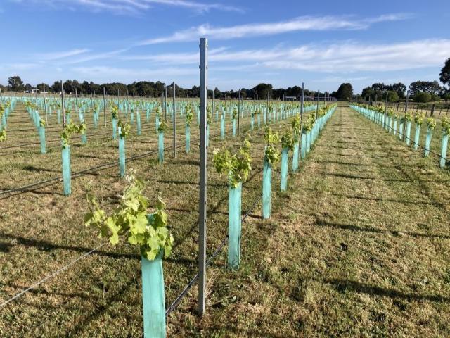 Land for sale in Kyneton, Shire of Macedon Ranges