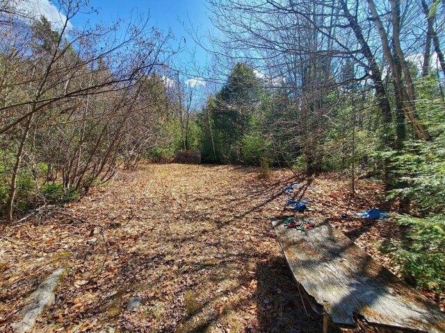 Land for sale in Lagrange, Maine