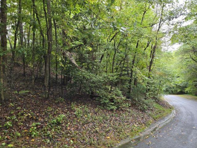 Land for sale in Rutherford, North Carolina