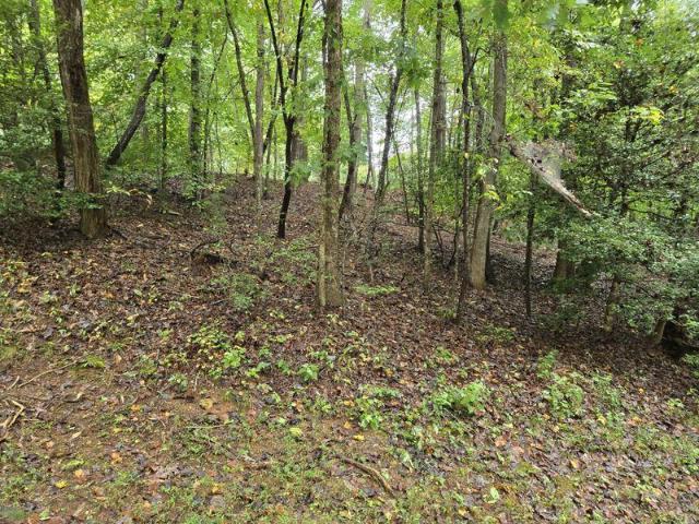 Land for sale in Youngs Mountain, Lake Lure