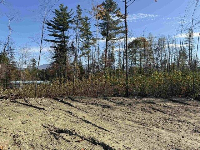 Land for sale in New Hampshire