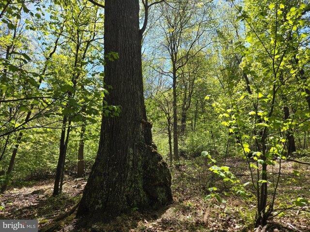 Land for sale in Loysville, Pennsylvania