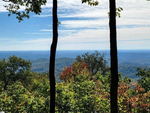 Land for sale in Landrum, South Carolina