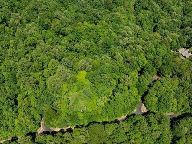 Land for sale in Landrum, South Carolina