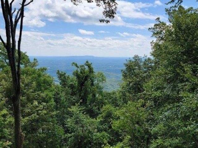 Land for sale in Landrum, South Carolina