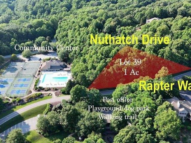 Land for sale in Landrum, South Carolina