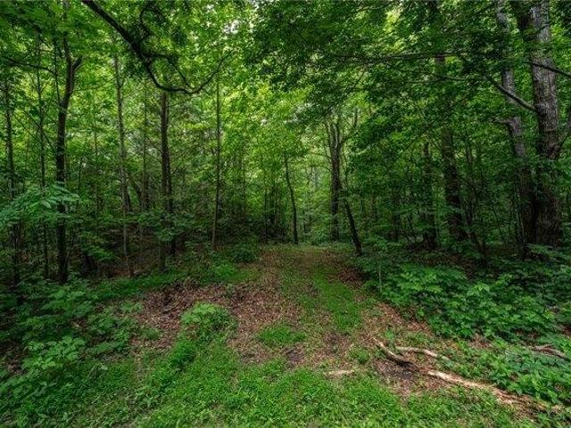 Land for sale in Landrum, South Carolina