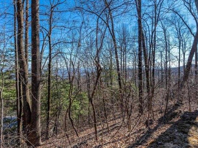 Land for sale in Landrum, South Carolina