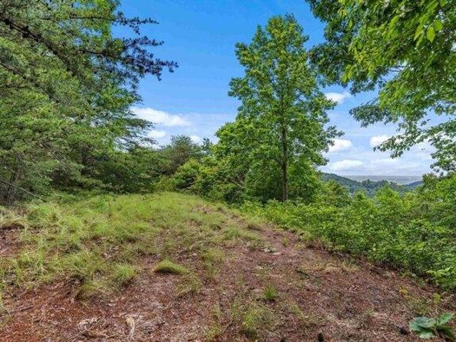 Land for sale in Landrum, South Carolina