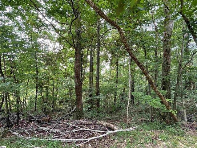Land for sale in Landrum, South Carolina