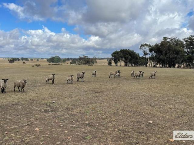 Land for sale in Landsborough, Shire of Pyrenees