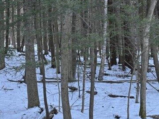 Land for sale in Berkshire, Massachusetts