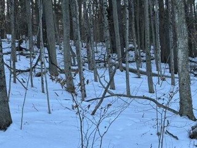 Land for sale in Berkshire, Massachusetts