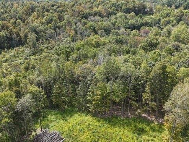 Land for sale in Berkshire, Massachusetts
