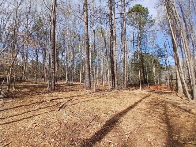Land for sale in Laurens, South Carolina
