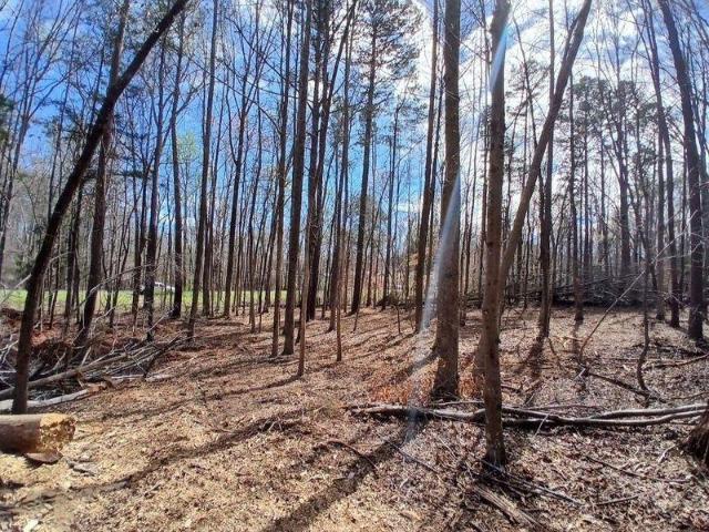 Land for sale in Laurens, South Carolina