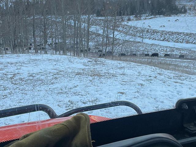 Land for sale in Lacombe, Alberta