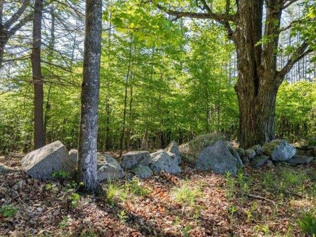 Land for sale in New Hampshire