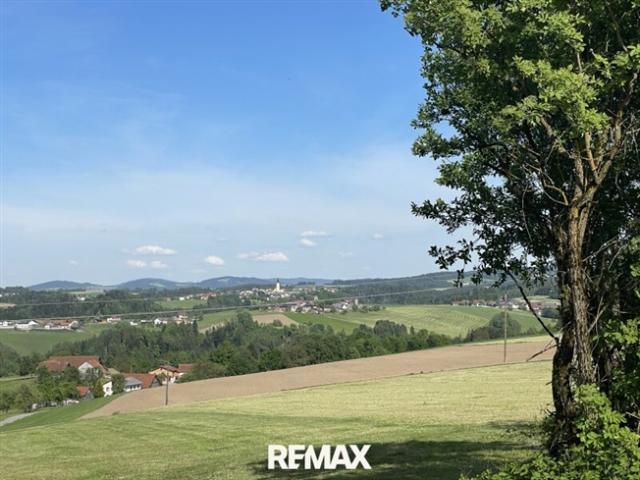 Grundstück kaufen in Freinberg, Oberösterreich