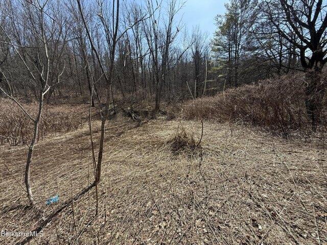 Land for sale in Berkshire, Massachusetts