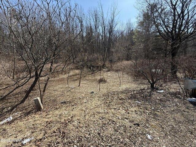Land for sale in Berkshire, Massachusetts