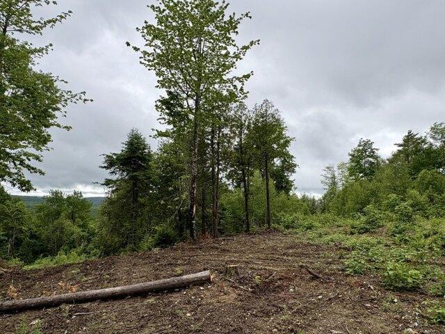 Land for sale in Lee, Maine
