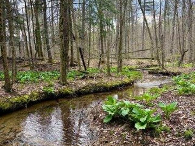 Land for sale in Cooksburg, Pennsylvania