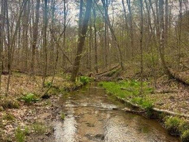 Land for sale in Cooksburg, Pennsylvania