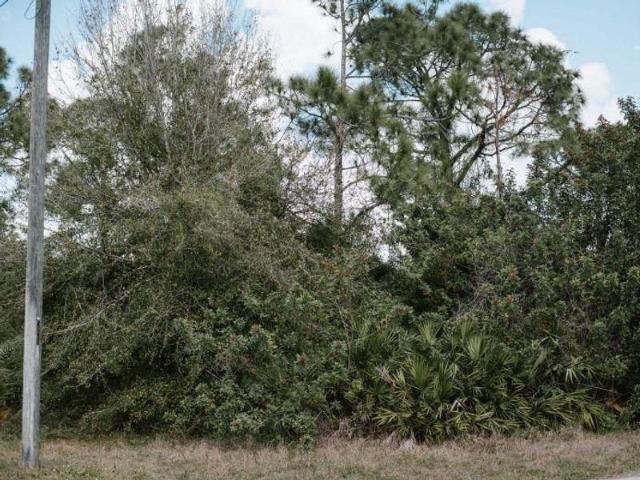 Land for sale in Lehigh Acres, Florida