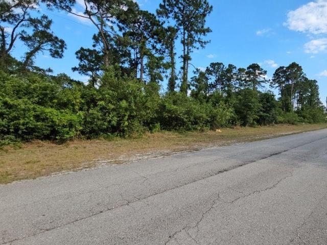 Land for sale in Lehigh Acres, Florida