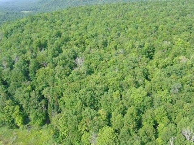 Land for sale in New Hampshire