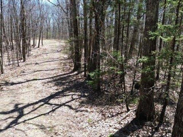 Land for sale in New Hampshire