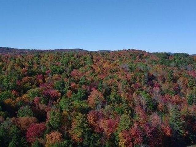 Land for sale in Lempster, Sullivan County