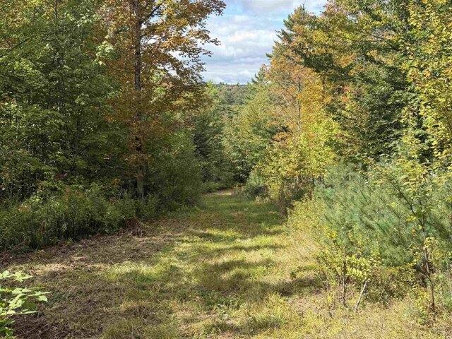 Land for sale in Lempster, Sullivan County